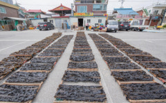 [포토뉴스]초도 미역 건조작업