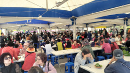 [포토뉴스]제5회 홍천산나물축제 개막