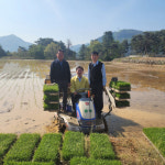 홍천군 올해 첫 모내기 실시 본격 영농활동 시작