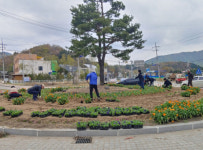 [포토뉴스]양구군 해안면사무소 화단 조성
