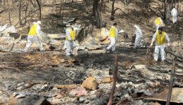 [포토뉴스]영월군시설관리공단, 강릉 산불 피해 지원 봉사