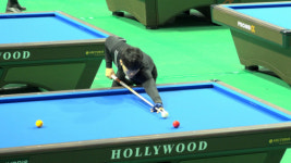 [포토뉴스]태백산배 전국 3C 당구대회 개최