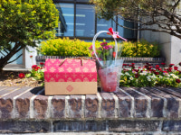 태백시, 각 행정복지센터 어버이날 행사 풍성