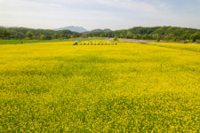 [터치 강원]전쟁 후 수복된 황무지 철원 최대 거주지로 일궈