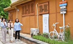 정선군, 주민들과 함께 정원 거리 조성