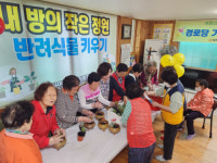 [포토뉴스]내 방의 작은 정원, 반려식물 키우기 사업