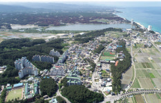 [터치 강원]솔밭에 앉아 우리문화 한모금 경포 거닐며 바다향기 두모금