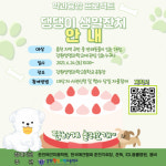 댕댕이 생일 잔치 오세요