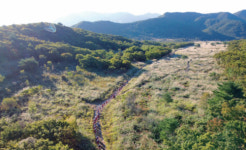 조계종 포교원 ‘강릉 연화낭자의 길’ 공개