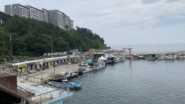 속초 외옹치항 관광어항으로 변신한다