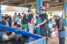 [포토뉴스]고성 제7회 초도 성게축제 열려