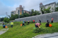 [포토뉴스]상장동 사회단체, 화단 및 인도변 환경정비 실시