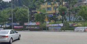 가로수·육교 뒤덮은 ‘정치 현수막’ … 기한 지나도 버젓이 걸려