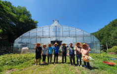 [포토뉴스]농촌일손돕기 나선 철암동 행정복지센터 직원들