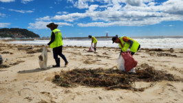 [포토뉴스]고성군 거진해변 부유물 수거