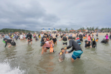 [포토뉴스]백도해변 조개·가리비 맨손잡기 축제