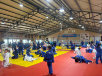 3개 종목 600여명 선수 철원서 여름전지훈련 소화