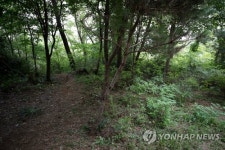 대낮 신림동 등산로 30대 성폭행범 성폭행 미수에 그쳤다 주장