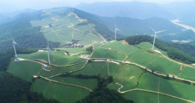 [포토뉴스]강릉 안반데기 배추출하