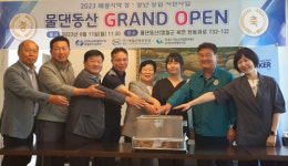 영월 청년 기업 물댄동산 오픈