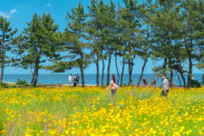 [터치 강원] 속초 대표 명소 새마을 … 곳곳에 숨겨진 특별한 감성