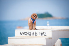 [터치 강원] 속초 대표 명소 새마을 … 곳곳에 숨겨진 특별한 감성