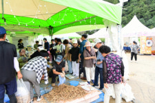횡성청일더덕직판장 | 횡성더덕축제 행사장 매출 10억 달성