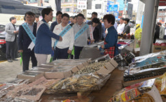[포토뉴스]강릉 주문진수산시장  수산물 소비 촉진 캠페인