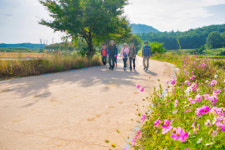 걷기명소 송지호서 가을정취 만끽 … 범도민 산소길걷기 성황