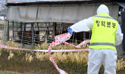 철원 한우농장서 럼피스킨병 확진…강원 전방위 확산
