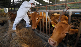 [포토뉴스]아프지 말아야 할텐대