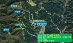 이상호 태백시장, 태백시 숲길 현장점검