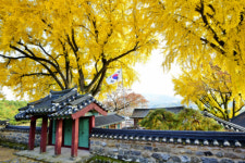 [터치 강원]전국 최고의 한우와 애국·보훈의 중심지 우뚝