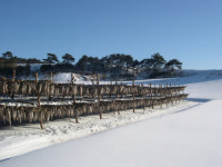 [터치강원]대관령 매력 담은 목장·먹거리·축제 한눈에