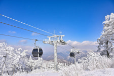 정선 가리왕산 케이블카, 대한민국 대표 촬영 명소 등극