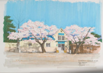 ‘정밀한 스케치, 대담한 터치’…펜으로 기억한 원주