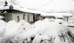 향로봉 56.6㎝ ‘눈폭탄’…강원 도로 통제·교통사고 잇따라