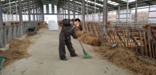 고성 깨끗한 축산환경 조성 나서