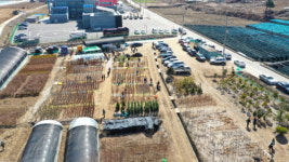 “화천 더 푸르게 가꾸자” 산림조합 나무시장 15일 개장