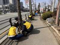 [포토뉴스]송정동 자생단체, 봄맞이 관내 꽃심기