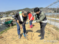 [포토뉴스] 횡성 둔내면 사과나무 나눔 및 식목
