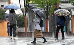 꽃눈 안피는 사과…예측할 수 없는 봄날씨에 농민 시름