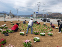 [포토뉴스]양구 국토정중앙면 주민자치위원회·국사모 식목 행사