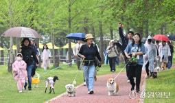 반려견 동행 ‘춘천 마실중Dog’ 성료…가을 행사 기대 높여