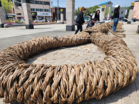 “강원특별자치도 무형문화재로 등재된 영월칡줄다리기 대회 보러 오세요”