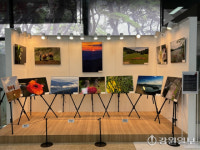 [포토뉴스] 원주공항, 백합영상회 사진전