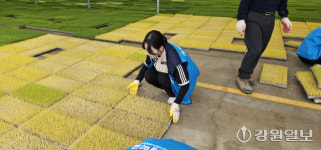 [포토뉴스] 농협-송호대 산학합동 일손돕기