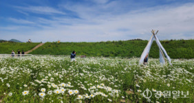 강원 13일 아침 서리·건조 주의