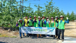 [포토뉴스]강릉 상록자원봉사단, 농촌일손돕기 봉사활동