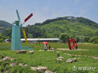 모습 드러낸 원주 대표 봄꽃 축제…꽃양귀비 매력에 흠뻑